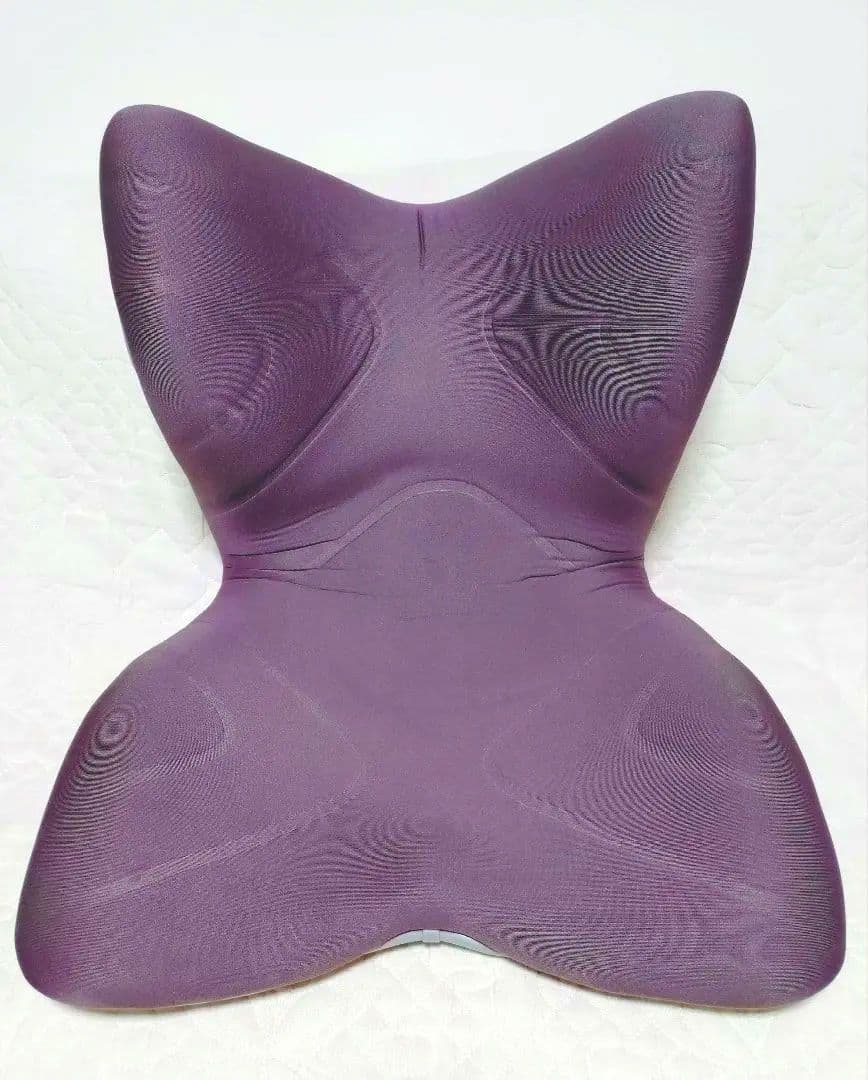 スタイルプレミアム 骨盤・姿勢矯正クッション