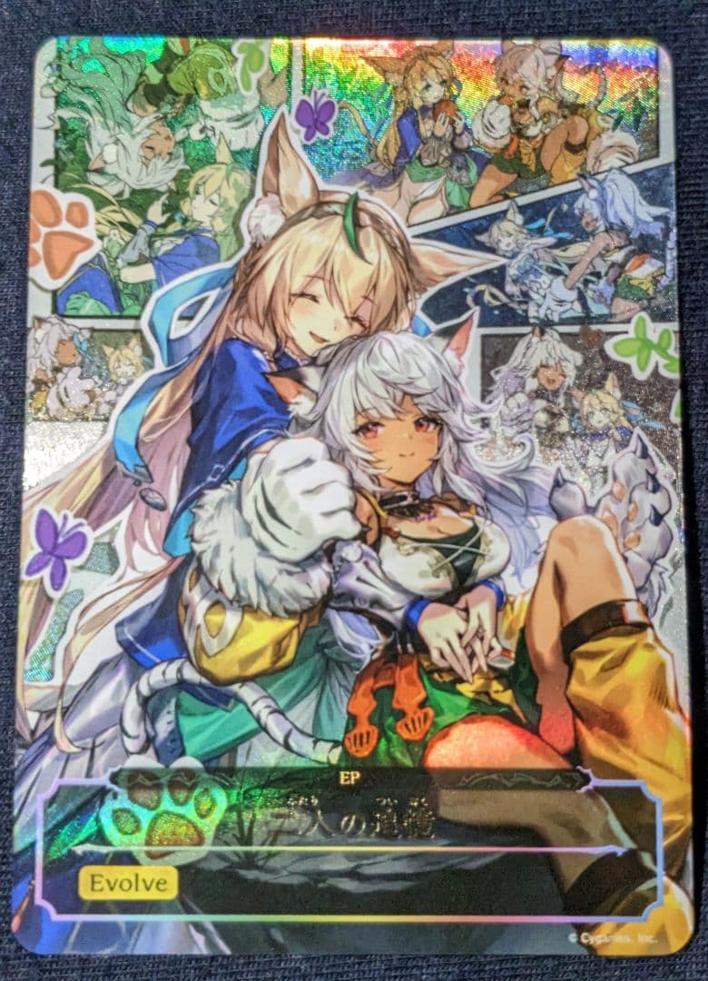 二人の追憶(EP) シャドウバース エボルヴ 黒鉄の侵略者」プレミアムサプライセット特設ページ | Shadowverse