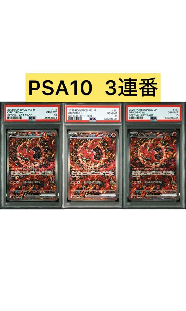 【PSA10】3連番　オドリドリex SAR