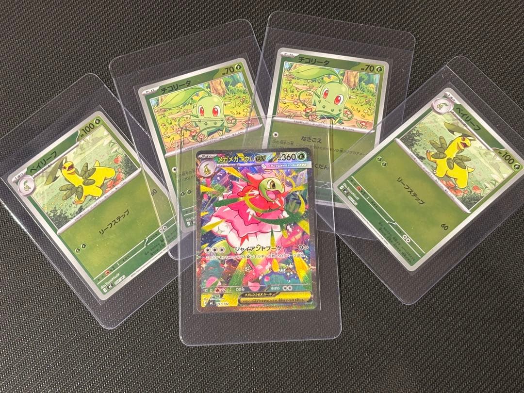 メガメガニウムex SAR 進化ライン付き